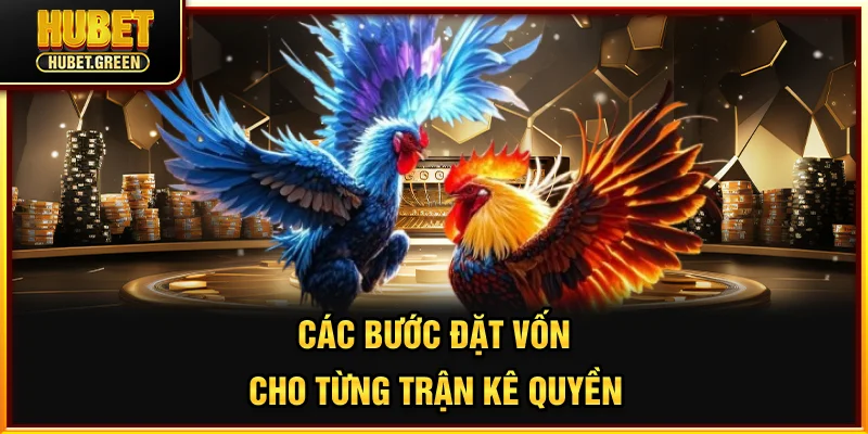 Các bước đặt vốn cho từng trận kê quyền