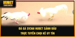 Đá gà SV388 tại hubet