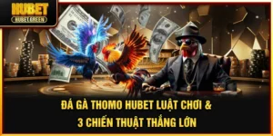 Đá gà thomo Hubet