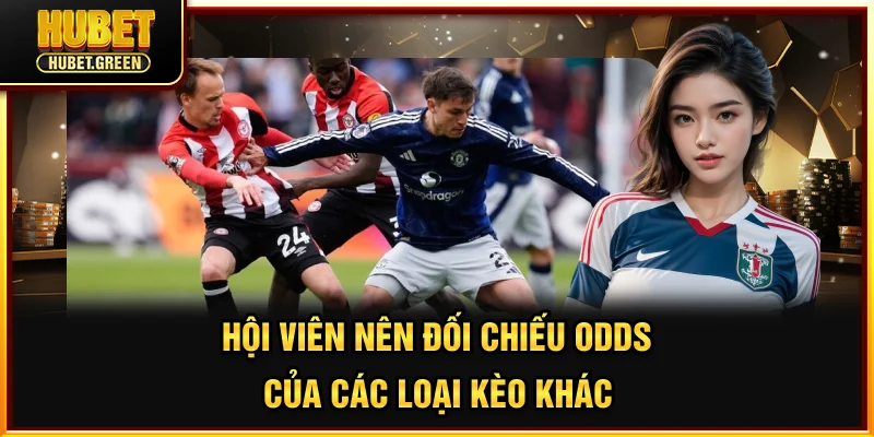 Hội viên nên đối chiếu odds của các loại kèo khác