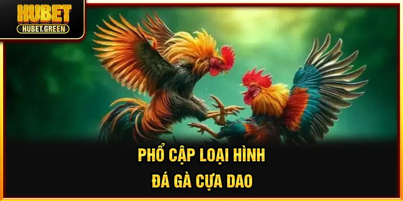 Phổ cập loại hình đá gà cựa dao