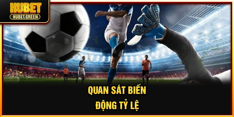 Quan sát biến động tỷ lệ