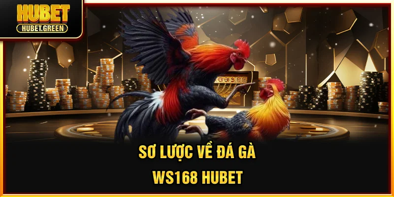 Sơ lược về đá gà WS168 HUBET