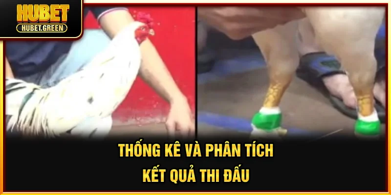 Thống kê và phân tích kết quả thi đấu