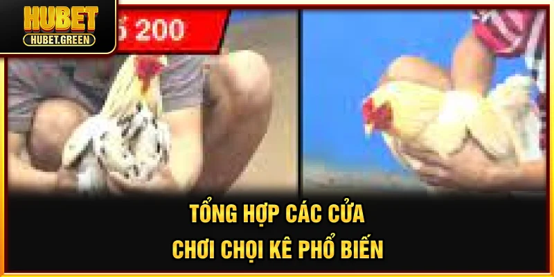 Các cửa cược chọi kê phổ biến của đá gà SV388 có tại Hubet